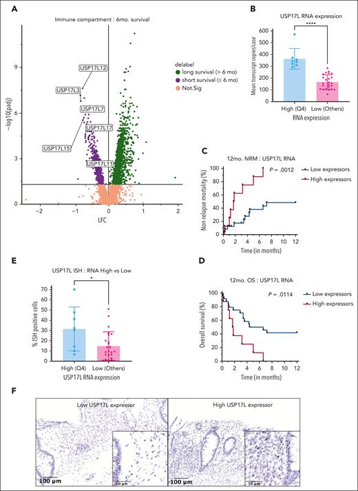 Biomarkers with relevance to survival in SS colon aGVHD. (A) Members of USP17L gene family are overexpressed in immune cells of patients with aGVHD with NRM within 6 months. (B) Quartile-based assessment of combined USP17L (USP17L3, USP17L7, USP17L11, USP17L12, USP17L15, and USP17L17) RNA, used to define “high expressors” as those cases with mean pooled USP17L transcripts in fourth quartile (Q4) showed significant difference with the other quartiles (pooled as “low expressors”) (unpaired t-test, ∗∗∗∗P < .0001). Kaplan-Meier curve comparing combined USP17L high vs low expressors for (C) NRM (log-rank P = .0012) and (D) overall survival (log-rank P = .0114) showed better survival in low expressors. (E) RNA-ISH staining for USP17L family on the cases shows significant stronger staining in the USP17L RNA transcript high expressor cohort (unpaired t-test, ∗P = .0156). (F) USP17L isoform RNA-ISH staining validation on paraffin-embedded archival tissue in a low (left panel) and a high (right panel) expressor case (×17 magnification with scale bar = 100 μm). Inset of low expressor panel shows staining of USP17L RNA (brown-black granules) predominantly in glandular epithelium (left edge) and minimally on immune cells. Inset of high expressor panel shows comparatively stronger staining of immune population (left half) as well as in the epithelium (inset magnification ×60 with scale bar = 50 μm). OS, overall survival.