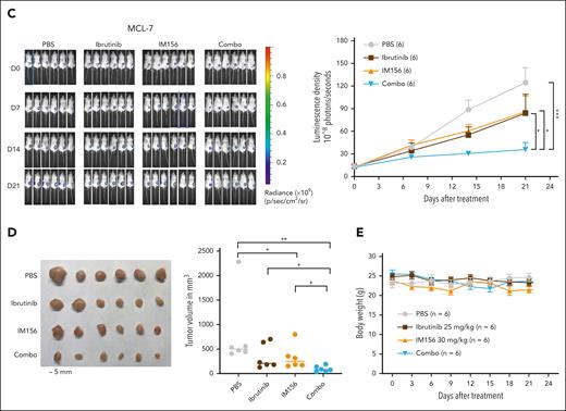 Targeting OXPHOS with IM156 restores the sensitivity of the resistant cells to ibrutinib treatment. (A) Synergistic assay in the indicated cell lines and samples from patients with MCL. Synergistic scores were calculated by SynergyFinder 2.0. A score >0 (pink) indicated a synergistic effect of the 2 drugs. (B) Schematic illustration of PDXs of MCL and the treatment procedure. (C) PDXs of MCL. Freshly collected MCL-7 cells were inoculated subcutaneously into NSG mice, and tumor signals were monitored by the Xenogen IVIS Imaging System (Caliper Life) until they reached ∼1 × 108 radiance ps−1 cm2 sr−1, then treated with 25 mg/kg ibrutinib (intraperitoneally) at 5 days a week, 30 mg/kg IM156 (intraperitoneally) every other day for 3 weeks, or with a combination of the 2 drugs. Bioluminescence images of mice before and after treatment (left) and tumor growth curves (right) are shown. The color scale depicts the photon flux (photons per second) emitted by tumors. Error bars represent mean ± SEM (two-way ANOVA, ∗P < .05; ∗∗∗P < .001). (D) Shown are photographs of tumors (left) and tumor volumes (right) from each group on day 21 (∗P < .05; ∗∗P < .01). (E) No significant mouse body weight changes were observed during treatment.