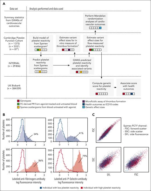 Overview of the study design and data types. (A) Schematic diagram of the analyses; gray blocks represent distinct analyses, which are grouped row-wise according to the data set to which they were applied; the arrows illustrate the flow of information between analyses; the colors in the embedded strips indicate the nature of the primary data used for each analysis. (B) Examples of histograms of log fluorescence intensity from the FC measurements used to quantify PR; the left and right hand panels show measurements of fluorescence generated by an anti-human fibrinogen polyclonal antibody that labels bound fibrinogen and an anti–P-selectin monoclonal antibody, respectively; the upper and lower panels correspond to an individual with a high (red) and an individual with a low (blue) PR, respectively; the filled histograms represent the distributions of log intensity measurements from activated platelets (using the agonist ADP, in this example) incubated with a labeled antifibrinogen antibody or a labeled anti-P-selectin antibody, whereas the open histograms represent negative controls (“Methods”); the dotted lines correspond to the positivity thresholds (ie, to the 98% quantiles of the distributions illustrated by the open histograms); the percentages of agonist-treated platelets that exceed the positivity thresholds are shown. (C) Composite of the 2 CBC scattergrams measured from blood taken from the 2 individuals in panel B, which are distinguished using colors, as in panel B.