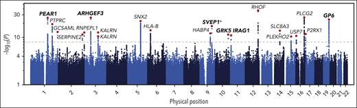 Genome-wide associations with PPR. A Manhattan plot showing the P values of linear mixed model tests for association between genetic variants and PR predicted from CBC scattergrams in INTERVAL. Each dot corresponds to a genetic variant in the Haplotype Reference Consortium r1.1 reference panel. The position on the x-axis indicates the physical position of the variant; the position on the y-axis indicates the log of –log10 of the P value corresponding to the χ2BOLT-LMM statistic. Only variants with an imputation information score >0.4 and a P value <.1 are shown. The horizontal dashed line corresponds to the genome-wide significance threshold (α = 10–8). The red dots correspond to the variants showing the strongest evidence for association in loci containing significantly associated variants. The gene names indicate the protein-coding gene that is nearest to each of these associated variants. The genes in bold mark loci previously associated with a PR phenotype by GWAS analysis (P < 5 × 10–8) or by gene-based analysis (P < 10–5; marked with an asterisk).