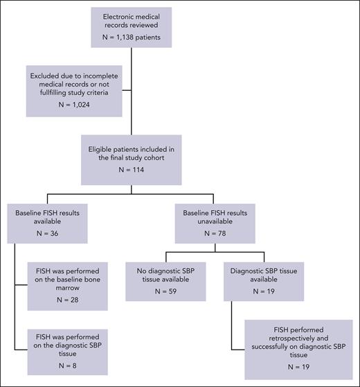 Consort diagram for the patients with SBP identified and included in this study.
