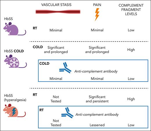 Vascular stasis, pain, and complement in a mouse model of HbSS. Shown is a summary of key results from Ivy et al,1 in which non-hyperalgesic mice were examined at room temperature (RT) and then following cold exposure. Hyperalgesic mice were also studied at RT. Figure prepared with BioRender.com.
