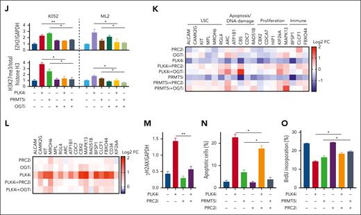 Histone modification in TP53-mutated AML upon PLK4 inhibition. (A) Volcano plots indicating differentially expressed genes (DEG: log2FC > 1 or < −1, adjusted P value < .05) for each sample pair on day 2 post CFI-400945 treatment (20 nM). 524/413 and 158/406 DEGs were found upregulated/downregulated upon CFI-400945 treatment at T2N vs C2N and T4N vs C4N comparison, respectively. (B) GSEA showed negative enrichment of H3K27me3 and PRC2 targets upon CFI-400945 treatment (20 nM) compared with vehicle control on day 2, when 2N populations were analyzed. (C) Schematic diagram on the interaction between PLK4 and PRMT5 and the subsequent histone methylation via EZH2. (D) CFI-400945 (CFI, 10 nM) and centrinone-B (Cen, 10 nM) increased global H3K27me3 normalized to total histone H3 on day 2, compared with vehicle control (supplemental Figure 3E) (n = 3). (E) CFI-400945 (10 nM) increased global H3K27me3 normalized to total histone H3 in T2N, T4N, and polyploidy subpopulation of K052 on day 2, compared with vehicle control (supplemental Figure 3F) (n = 3). (F-G) Representative immunoblot images (F) and statistics (G) showing the coimmunoprecipitation of PLK4 and PRMT5. CFI-400945 (10-20 nM) (C10 and C20) suppressed the phosphorylation of both PLK4 and PRMT5, whereas the PRMT5 inhibitor, GSK591 (5-10 μM) (G5 and G10), only suppressed the phosphorylation of PRMT5, compared with vehicle control (n = 3). (H) Increase in global H3K27me3 upon CFI-400945 (PLK4i, 10 nM) or GSK591 (PRMT5i, 5 μM) treatment was rescued by PRC2 inhibitors, A395 (200 nM) or EED226 (500 nM) (n = 3). (I) CFI-400945 (PLK4i, 10 nM) or GSK591 (PRMT5i, 5 μM) treatment increased O-GlcNAcylation in K052 on day 2, compared with vehicle control. CFI-400945 and GSK591 treatment increased O-GlcNAcylation in ML2 on day 1 and day 4, respectively. The increase was rescued by OGT inhibitor, OSMI-1 (10 μM) (OGTi) (n = 4). (J) CFI-400945 (PLK4i, 10 nM) or GSK591 (PRMT5i, 5 μM) treatment increased the protein expression of EZH2, normalized by GAPDH. Increases in EZH2 and H3K27me3 were rescued by OSMI-1 (OGTi, 10 μM) (supplemental Figure 3H) (n = 3). (K) Heat map summarizing the RT-QPCR analysis upon CFI-400945 treatment in K052. It showed downregulation of gene expression in K052 upon CFI-400945 treatment (PLK4i, 10 nM) or GSK591 (PRMT5i, 5 μM) on day 2, compared with vehicle control. The downregulation of gene expression was rescued by EED226 (PRC2i, 500 nM) or OSMI-1 (OGTi, 10 μM) (supplemental Figure 3I) (n = 5). (L) Heat map summarizing the H3K27me3 ChIP-PCR analysis upon CFI-400945 treatment (PLK4i, 10 nM) in K052. It showed increased H3K27me3 enrichment of the promoter regions of the downregulated genes on day 2, normalized to vehicle control. The increase in H3K27me3 could be rescued by EED226 (PRC2i, 500 nM) or OSMI-1 (OGTi, 10 μM) (supplemental Figure 3J) (n = 3). (M) CFI-400945 (PLK4i, 10 nM) treatment increased DNA damage in K052 that could be rescued by EED226 (PRC2i, 500 nM) (supplemental Figure 3K) (n = 3). (N) CFI-400945 (PLK4i, 10 nM) or GSK591 (PRMT5i, 5 μM) treatment induced apoptosis in K052 that could be rescued by EED226 (PRC2i, 500 nM) (n = 3). (O) CFI-400945 (PLK4i, 10 nM) or GSK591 (PRMT5i, 5 μM) treatment suppressed proliferation in K052 that could be rescued by EED226 (PRC2i, 500 nM) (n = 3). D259N: knockin of TP53-D259N mutant. R280K: knockin of TP53-R280K mutant. ∗P <.05; ∗∗P < .01; ∗∗∗P < .001.