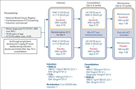Study schema. APL, acute promyelocytic leukemia; BD, twice daily; IDA, idarubicin; IDAC, intermediate-dose cytarabine.