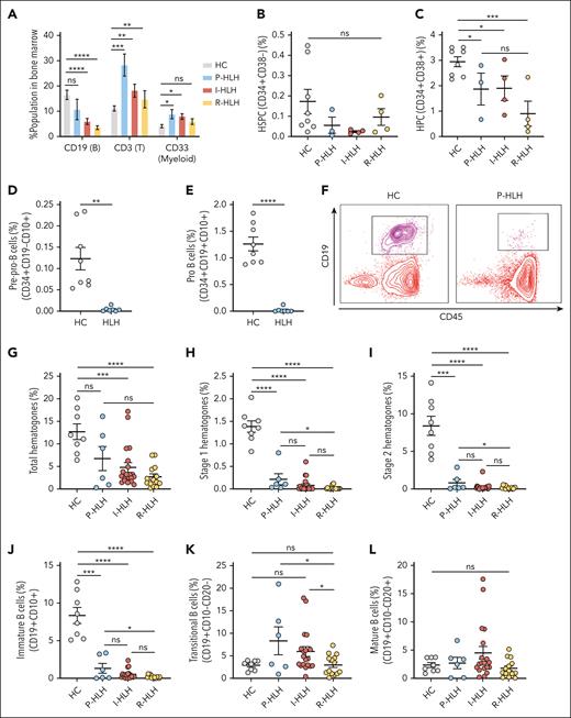 Early B-cell development is suppressed in the bone marrows of patients with HLH. (A) The individual percentages of CD19+ (B-cell lineage), CD3+ (T-cell lineage), and CD33+ (myeloid lineage) cells in the bone marrow compartment for age-matched healthy control (HC) group (n = 8), P-HLH group (n = 5), I-HLH group (n = 19), and R-HLH group (n = 12). B-cell compartment (HC, 16.59% ± 1.85%; P-HLH, 10.78% ± 4.05%; I-HLH, 6.04% ± 1.19%; and R-HLH, 3.64% ± 0.76%); T-cell compartment (HC, 11.16% ± 1.01%; P-HLH, 28.38% ± 4.36%; I-HLH, 18.21% ± 2.48%; and R-HLH, 14.78% ± 3.36%); myeloid compartment (HC, 4.20% ± 0.62%; P-HLH, 8.93% ± 1.84%; I-HLH, 8.02% ± 1.09%; and R-HLH, 5.95% ± 1.07%). (B) Percentage of hematopoietic stem and progenitor cells (CD34+CD38−) population in the bone marrow compared among HC (n = 8; 0.17% ± 0.06%), P-HLH (n = 3; 0.055% ± 0.04%), I-HLH (n = 4; 0.024% ± 0.005%), and R-HLH (n = 4; 0.096% ± 0.04%). (C) Percentage of HPC (CD34+CD38+) population in the bone marrow compared among HC (n = 8; 2.94% ± 0.19%), P-HLH (n = 3; 1.87% ± 0.63%), I-HLH (n = 4; 1.90% ± 0.48%), and R-HLH (n = 4; 0.90% ± 0.49%) groups. (D) Percentages of pre–pro-B cells (CD34+CD19−CD10+) in HC (n = 8; 0.12% ± 0.03%) and HLH (n = 7; 0.0047% ± 0.0020%) groups and (E) pro-B cells (CD34+CD19+CD10+) in in the bone marrow of HC (n = 8; 1.26% ± 0.13%) and HLH (n = 7; 0.023% ± 0.017%) groups. (F) Representative flow cytometry dot plot of CD19/CD45 showing the depletion of hematogones (CD19+CD45+) in a patient with P-HLH (right) compared with that in an HC (left). (G) Percentages of total hematogones (stages 1-3), (H) stage 1 hematogones (CD19+CD45dim), and (I) stage 2 hematogones (CD19+CD45intermediate) in the bone marrow from HC (n = 8), P-HLH (n = 6), I-HLH (n = 20), and R-HLH (n = 14) groups. Total: HC (n = 8) 12.70% ± 1.74%, P-HLH (n = 6) 6.74% ± 2.67%, I-HLH (n = 20) 4.78% ± 1.04%, and R-HLH (n = 14) 2.68% ± 0.65%; stage 1: HC 1.38% ± 0.13%, P-HLH 0.21% ± 0.12%, I-HLH 0.077% ± 0.035%, and R-HLH 0.019% ± 0.01%; stage 2: HC 8.38% ± 1.28%, P-HLH 0.79% ± 0.46%, I-HLH 0.27% ± 0.11%, and R-HLH 0.16% ± 0.05%. (J) Percentages of immature B cells (CD19+CD10+), (K) transitional B cells (CD19+CD10−CD20−), and (L) mature B cells (CD19+CD10−CD20+) in the bone marrow of patients in each group. Immature: HC (n = 8; 8.36% ± 1.06%), P-HLH (n = 6; 1.32% ± 0.65%), I-HLH (n = 19; 0.54% ± 0.15%), and R-HLH (n = 14; 0.20% ± 0.05%); transitional: HC 2.91% ± 0.38%, P-HLH 8.33% ± 3.12%, I-HLH 5.97% ± 1.09%, and R-HLH 3.02% ± 0.60%; and mature: HC 2.35% ± 0.42%, P-HLH 2.72% ± 1.01%, I-HLH 4.52% ± 1.13%, and R-HLH 1.77% ± 0.42%. The two-tailed Student t test or the Mann-Whitney test was used depending on normality for statistical comparison between 2 groups. The Kruskal-Wallis 1-way analysis of variance (ANOVA) followed by the Dunn multiple comparison test for non-normally distributed samples and an ordinary 1-way ANOVA followed by the Tukey multiple comparison test for normally distributed samples were used for statistical comparison of HC and HLH groups. Data represent mean ± standard error of the mean (SEM); ∗P < .05; ∗∗P < .01; ∗∗∗P < .001; ∗∗∗∗P < .0001; ns, not significant.