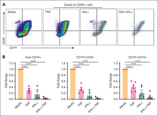 Human CD34+ cells cocultured with mesenchymal stromal cells exposed to IFN-γ and TNF exhibit suppressed B-cell development. (A) Representative flow cytometry panel of CD19+CD20+ mature B cells exposed to media, TNF, IFN-γ, or the combination of TNF and IFN-γ. (B) Quantified values of the populations of interest in each treatment group normalized to media control group represented as fold change for total CD19+ B cells (TNF, 0.31 ± 0.043; IFN-γ, 0.17 ± 0.090; and IFN-γ + TNF, 0.030 ± 0.014), CD19+CD34− (TNF, 0.33 ± 0.061; IFN-γ, 0.13 ± 0.059; and IFN-γ + TNF, 0.030 ± 0.017), and CD19+CD10+ immature B cells (TNF, 0.43 ± 0.076; IFN-γ, 0.22 ± 0.094; and IFN-γ + TNF, 0.081 ± 0.052) (n = 5 per treatment group). A Kruskal-Wallis 1-way ANOVA followed by the Dunn multiple comparison test for nonnormally distributed samples and an ordinary 1-way ANOVA followed by the Tukey multiple comparison test for normally distributed samples were used for statistical comparison of media and treated groups. Data represent mean ± SEM; ∗P < .05; ∗∗P < .01; ∗∗∗P < .001; ∗∗∗∗P < .0001.