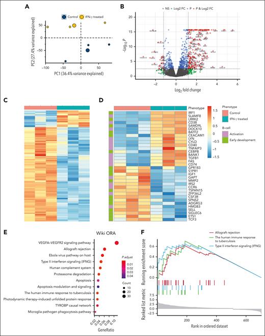 DE gene analysis among human CD34+ stem cells treated with IFN-γ compared with that of the control group reveals distinct genes and pathways affected by inflammation. (A) The principal component analysis was performed with all the samples, and the first 2 principal components are plotted. Data show clear separation of treated (n = 3) and nontreated samples (n = 3) into 2 distinct groups. (B) The DE analysis results are plotted as a volcano plot. x-axis shows log2FC, and y-axis shows −log10 (P value) for each gene. Each dot represents a gene and the colors indicate significance level. (C) Genes that are significant by log2 fold change (log2FC) > 2 and false discovery rate (FDR) < 0.05 are plotted in the heat map. (D) Genes involved in B-cell activation and early development are differentially expressed between treated and nontreated groups. (E) Overrepresentation analysis shows significant pathway hits (FDR < 0.05) for 704 DE genes. Size of the circle represents the number of genes in each pathway; color represents the significance level. (F) Gene set enrichment analysis identifies 3 significant pathways based on the enrichment score (top). The value of the ranking metric is shown along the list of the ranked genes (bottom).