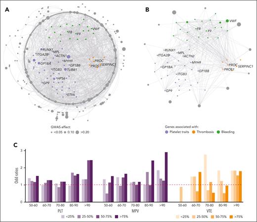 Interactomes and omnigenic model of complex polygenic hematological phenotypes. (A) An interactome of 366 nodes and 1559 edges was generated using the proteins encoded by the 93 BTPD DGGs and the 658 proteins encoded by the genes harboring GWAS-variants for platelet count as “seeds” for retrieving their first-order interactors. (B) A similar interactome of 73 nodes and 374 edges was generated for venous thrombotic events (VTE) using the 93 DGG-encoded proteins and 297 proteins encoded by genes harboring GWAS-variants for VTE as seeds.30 For panels A-B, only interactions from the IntAct database31 are shown, in order to simplify the network visualization. Nodes and edges were arranged using Cytoscape software circular layout. Seed genes (ie, DGG genes) were positioned in the center of the circles. The nodes in the outer rings are first-order interactors of the seed genes. Although the algorithm used for platelet traits and thrombosis is the same, the number of nodes is much larger in platelet genes, which led to a better resolution of the outer circle. The outer circle highlights genes that interact with BTPD genes but are not BTPD genes themselves. The radii of nodes are proportional to the estimated effect size, in SD, of the GWAS-variant residing in the gene. Nodes have been colored purple, green and orange for genes/proteins implicated in platelet, bleeding, and thrombotic disorders or in gray if the gene/protein does not belong to one of these DGG domains. (C) Barplots showing the results of the expansion analysis using the entire human interactome of 18 410 nodes and 571 917 edges, showing the enrichment in effect sizes of GWAS-variants as a function of the distance from the core seed genes. x-axis shows the OR of the proximity to the core seed genes/proteins, with >90 to 50 to 60 groups representing the nodes (proteins) most proximal and most distal from seed proteins (panels A-B). Group “>90” consists of the seed genes/proteins and their close protein interactors estimated via propagation score. The reported ORs are calculated using the most distant proteins (<50%) as a reference. The effect sizes of GWAS-variants for platelets and VTE (panel C) are split into 4 quartile effects described for the PGS analysis for VTE and platelets.30,31 The top quartile (ie, 75%) contains the variants that have been associated with the largest effect sizes in the relevant GWAS. The y-axis shows the enrichment (in OR) for a set of effect-size quartile bins, in a given distance from the center of the expansion network (in comparison to the periphery of the interaction network). For example, the top quartile of large effect variants for PLT has an OR of >2 of being in close proximity to seed genes (bin group “>90”). Results of the expansion analyses for the count (PLT) and mean volume (MPV) of platelets are in purple and for VTE in orange.