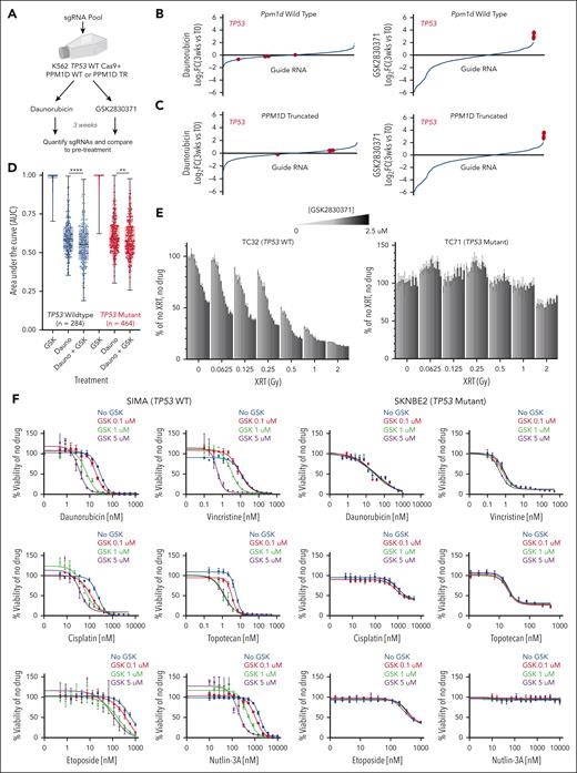 Sensitivity to PPM1D inhibition is regulated by p53. (A) Schematic of CRISPR/Cas9 knockout screen to assess effects of genetic knockout on sensitivity of K562 PPM1D-WT or PPM1D-truncated (TR) cells to daunorubicin or GSK2830371 over a 3-week period. (B-C) Changes in guide RNAs over experiment in PPM1D-WT (B) or PPM1D-TR (C) cells treated with daunorubicin (left) or GSK2830371 (right). Guide RNAs targeting TP53 are highlighted in red. (D) Area under the curve (AUC) calculations for TP53-WT (black) or TP53-mutant (red) cells lines treated with either GSK2830371, daunorubicin, or daunorubicin with GSK2830371 using the PRISM platform (refer to “Methods”). (E) Viability of TC32 (left) or TC71 (right) Ewing sarcoma cells after exposure to radiation and varying doses of GSK2830371. (F) Viability of SIMA (left) or SKNBE2 (right) neuroblastoma cells after exposure to cytotoxic agents and varying doses of GSK2830371.