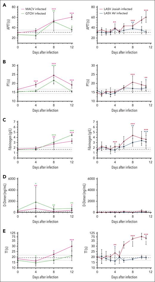 Coagulation system defects associated with hemorrhagic fever-causing arenaviruses. (A) aPTT expressed in seconds. (B) PT expressed in seconds. (C) Fibrinogen concentration in g/L. (D) D-dimer levels in ng/mL. (E) Thrombin time expressed in seconds. Mean values for infected animals (MACV in magenta, GTOV in green, LASV AV in blue, and LASV Josiah in red) are presented with error bars for SEM. The base value for each parameter is presented as the mean of all values from 3 mock-infected animals and the value at the day of challenge of 24 animals. The continuous black line represents the mean and dotted line the SEM. Asterisks indicate a statistically significant difference with the base level according to a 2-tailed Mann-Whitney test (∗P < .05; ∗∗P < .005; ∗∗∗P < .0005). Tests were done for values at 4, 8, 11, and 12 DPI. Number of animals: 3 MACV-infected, 3 GTOV-infected animals, 12 LASV Josiah-infected and 6 LASV AV-infected animals. SEM, standard error of the mean.