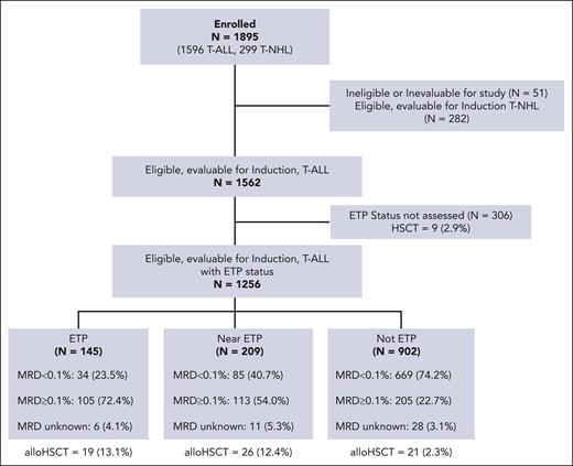 CONSORT diagram of participant allocation. alloHSCT, allogeneic hematopoietic stem-cell transplantation; MRD, minimal residual disease; T-ALL, T-cell acute lymphoblastic leukemia; T-NHL, T-cell non-Hodgkin lymphoma.