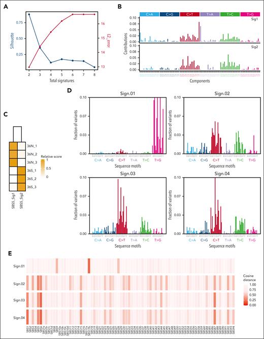 Somatic signatures in GFI1-36S and -36N leukemic mice and de novo identification of mutational signatures in human GFI1-36N–mutated samples. (A-C) RNA-seq data of BM cells from leukemic GFI1-36S (n = 3) and GFI1-36S (n = 3) mice were analyzed regarding their somatic signatures. (A) The optimal number of signatures is estimated based on silhouette coefficient (black) and L2 error (red). (B) SBS profiles considering the mutated base but also the bases immediately 5′ and 3′ for each signature and (C) signature activities for each sample. (D-E) Human GFI1-36S (n = 1348) and GFI1-36N (n = 182) samples were analyzed for their mutational signatures. (D) Mutational signatures identified in somatically enriched set of variants occurring in coding regions of clinical samples harboring GFI1-36N. (E) Cosine similarity of signatures Sign.01 to Sign.04 to the COSMIC single-base substitution reference set of mutational signatures version 3.3.