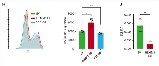 Hexim1 OE promotes fetal globin expression. (A) Selected top enriched gene sets from gene set enrichment analysis including GATA1 target genes, heme metabolism, and fetal liver genes. (B) Expression changes of known regulators of γ production (Lin28b, Arid3a, Tal1, Bcl11a, Myb, Fut8, and Sox6) via RNA sequencing from Murphy et al.1 (C) RNA expression changes of globin genes in HUDEP-2 in HEXIM1 OE cell lines compared with EV controls via RNA sequencing from Murphy et al.1 (D) Ratio of γ-globin to total β-globin transcripts in HUDEP-2 cells in expansion media (left) and at maturation day 5 (right). (E) Western blot of γ-globin levels in HUDEP-2 cells at maturation day 10 in HEXIM1 OE and EV cell lines. A representative western blot (left) and quantification (right) are shown. (F) RNA expression of γ-globin in CD36+ primary erythroblasts. Data are presented relative to 18S ribosomal RNA. (G) Quantification of F-cells in EV, HEXIM1 OE, and Y2A OE lines by fluorescence-activated cell sorting analysis in CD36+ primary erythroblasts. (H) Histogram showing distribution of cells expressing different HbF levels. (I) Median HbF expression of the F-cell population. (J) Bcl11a expression in CD36+ primary erythroblasts in indicated cell lines. Data are presented relative to 18S ribosomal RNA. n = minimum of 3 replicates; ∗P < .05; ∗∗P < .005; ∗∗∗P < .0005. ns, not significant.