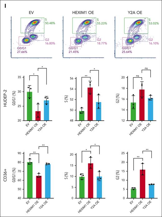 HEXIM1 OE regulates erythroid cell cycle progression by promoting both RNAPII pausing and recruitment. (A) Heat map of paused genes in EV, HEXIM1 OE, and Y271A OE cell lines; values represent z score of the average PI in the corresponding cell line; unsupervised k-means clustering was performed to acquire clusters of genes with different pausing status in each line. (B) Enriched pathways for the clusters of genes with a higher PI in HEXIM1 OE cell lines. (C) PI of gene sets cell cycle arrest genes” and cell cycle checkpoint genes. (D) Doubling time of EV, HEXIM1 OE, and Y2A OE HUDEP-2 cells. (E) Scheme of key regulators of S-phase entry. (F) Changes of chromatin accessibility, HEXIM1, and RNAPII occupancy at CCNE2 via ATAC sequencing and CUT&RUN. (G-H) Representative western blot (G) and quantification (H) of key regulators of G1/S phase progression; additional regulators are shown in supplemental Figure 10E. (I) Cell cycle analyses in HUDEP-2 and CD36+ selected primary erythroblasts via 5-bromo-2-deoxyuridine staining. n = minimum of 3 replicates; ∗P < .05; ∗∗P < .005.