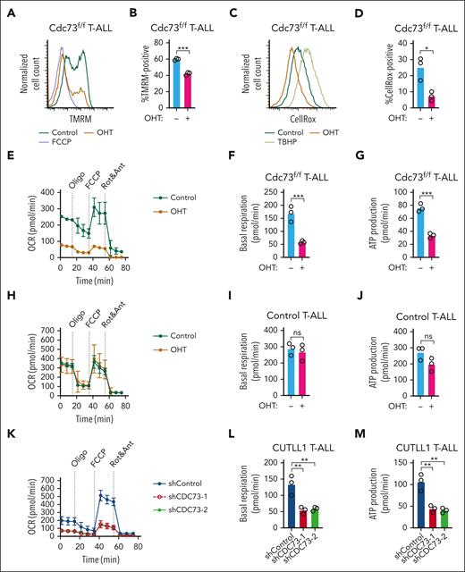 Cdc73 is important for OXPHOS. (A-B) Representative flow cytometric histogram (A) and mean florescence intensity scatterplot (N = 3) (B) showing mitochondrial membrane potentials measured by tetramethylrhodamine methyl ester (TMRM) assay on live 4′,6-diamidino-2-phenylindole (DAPI)-negative Rosa26CreERT2Cdc73f/f T-ALL cells (970) treated with OHT for 30 hours to delete Cdc73. FCCP was added as a positive control. (C-D) Representative flow cytometric histogram (C) and mean fluorescence intensity scatterplot (N = 3) (D) showing mitochondrial reactive oxygen species (ROS) production measured by the CellROX assay on live DAPI-negative 970 cells treated with OHT for 30 hours to delete Cdc73. TBHP was added as a positive control. (E-M) Seahorse XFe96 instrument measurements of real-time oxygen consumption rate (OCR) normalized to live cell number and protein concentration under basal conditions or in response to the indicated mitochondrial inhibitors (E,H,K) and scatterplots of basal (F,I,L) and adenosine triphosphate (ATP) production (G,J,M) respiration phases of 970 cells treated with OHT for 30 hours to delete Cdc73 (E-G), control Rosa26CreERT2 cells treated with OHT for 30 hours (H-J), and CUTLL1 cells at 4 days after transduction with 2 independent shCDC73 (K-M).