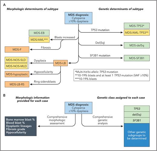 Current and possible future classification process of MDS. (A) MDS hierarchical classification process according to current ICC and WHO5. Morphologic features affecting classification are on the left and genetic determinants are on the right. Subtypes that are common to both ICC and WHO5 are shown in green, ICC subtypes are in yellow, and WHO5 subtypes are in orange. The detailed diagnostic criteria and exclusionary features of each entity are not shown on this diagram and are provided in separate publications.5,6 (B) A possible future classification approach that would separate the current hierarchical interweaving of morphologic and genetic MDS subtypes. Genetic classes are shown on the left and would be based on molecular clustering analyses of MDS cohorts; each case would be assigned a genetic class at diagnosis. Independent of the genetic class, the diagnosis of each case would include morphologic information, shown on the left. These morphologic data would reflect disease stage and treatment response (blasts) and express phenotypic features that provide additional prognostic information (SLD vs MLD, fibrosis grade) or guide therapy (hypocellularity), depending on the specific genetic class and patient characteristics. Professional illustration by Somersault18:24.