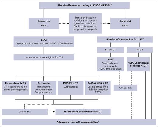 Treatment algorithm for MDS.1IPSS-R lower-risk: very low and low; higher-risk: intermediate, high, and very high. 2IPSS-M lower-risk: very low, low, and moderate low; higher-risk: moderate high, high, and very high. 3Data from HLA-matched related and unrelated donor, and if not available, from alternative donors such as haploidentical, mismatched unrelated or cord blood after RIC or myeloablative conditioning regimens. BM, bone marrow; IST, immunosuppressive treatment, S-EPO, serum erythropoietin.