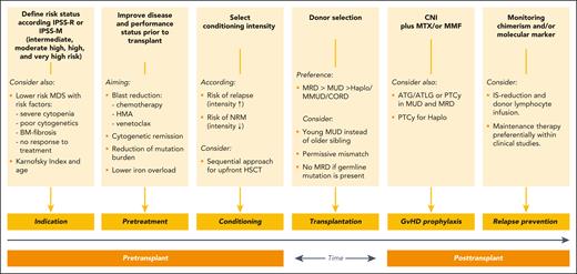 Main steps during allogeneic stem cell procedure for MDS.