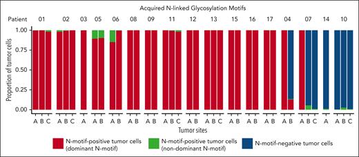 Prevalence of acquired N-linked glycosylation motifs during FL evolution. Stacked bars showing proportions of N-motif–positive tumor cells with the N-motif of the dominant tumor clone (dominant N-motif, red), N-motif–positive tumor cells with a different acquired N-motif (with a different amino acid sequence and/or location) compared with that of the dominant tumor clone (nondominant N-motif, green), and N-motif–negative tumor cells (blue) across multiple tumor sites and time points for 17 patients with FL. Bars reflect data from all available time points for a given site (see supplemental Tables 1 and 2 for detailed information). N-motif–positive cells can harbor N-motifs in Ig heavy and/or light chain V(D)J.