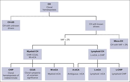 Nosology of CH. CH is the expansion of a clonal population of HSPCs. Many instances of CH are caused by unknown drivers and can be referred to as CHUD (dotted branch). When molecular drivers of CH are known, they can be further subclassified as initiating events of myeloid malignances (myeloid CH) or lymphoid malignancies (lymphoid CH). Myeloid CH is classified as CH caused by somatic mutations in myeloid malignancy-driver genes at VAF ≥ 2%. The term CHIP is used in the absence of cytopenias, and CCUS is used when cytopenias are present. Mosaic chromosomal alterations (mCAs) can also be drivers of myeloid CH (m-MCA). Lymphoid CH is subdivided into CH caused by mutations in drivers of lymphoid malignancy with a VAF ≥ 2% (L-CHIP) or mCA that reflect chromosomal abnormalities driving lymphoid malignancies (L-mCA). Ever-improving sensitivity of next-generation sequencing has led to an increasing identification of low-abundance (VAF < 2%) clones, which some have referred to as micro-CH. The clinical significance of these low-abundance clones remains to be fully elucidated.