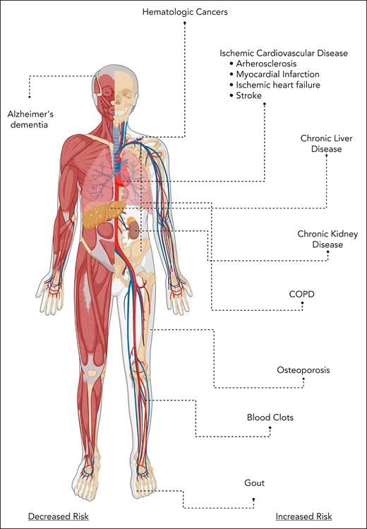 Malignant and nonmalignant consequences of CH. COPD, chronic obstructive pulmonary disease.