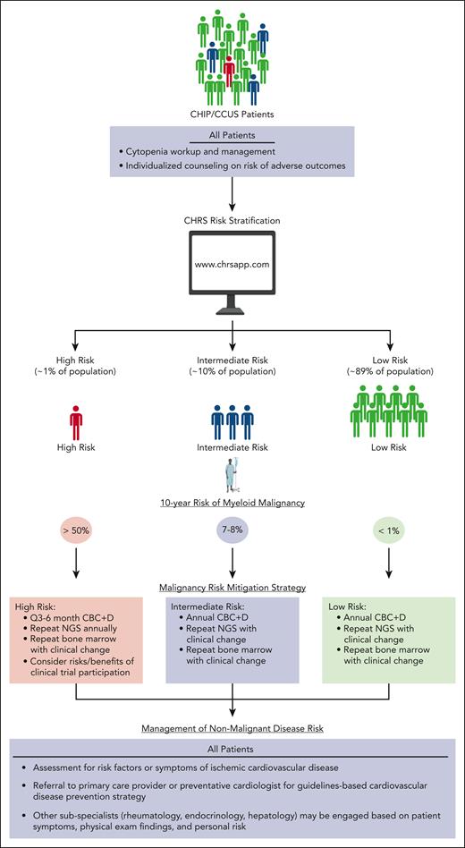Current management strategies for CH. Patients with CHIP/CCUS are typically identified incidentally as routine screening for CHIP/CCUS is not currently recommended outside of the context of a well-designed clinical research study. We advise the use of the CHRS to risk stratify patients with CHIP/CCUS into high-, intermediate-, and low-risk groups. All patients with cytopenia should be offered a bone marrow biopsy and cytogenetic profile to rule out underlying MDS. Patients at high risk may be followed up every 3 to 6 months depending on cytopenia burden and the rate of clinical change. Bone marrow biopsies and NGS should be repeated for clinical changes that may indicate progression. These patients are most likely to derive benefit from therapeutic intervention clinical trials designed to prevent malignant transformation and, if interested, may be considered for these studies. Less frequent monitoring is indicated for patients at intermediate and low risk. Bone marrow biopsies should not be performed outside of initial workup of cytopenia or to investigate clinical changes that may be indicative of progression. These patients are statistically unlikely to derive benefit from therapeutic clinical trials designed to prevent malignant transformation, and these patients should not be routinely considered as candidates for these studies. All patients may derive benefit from healthy lifestyle modifications such as smoking cessation, reduction of visceral fat burden, and exercise. Patients with CVD risk factors may derive benefit from preventive cardiology evaluation and/or enrollment on clinical trials to prevent CVD outcomes. A complete review of symptoms should be performed on all patients with CCUS to evaluate for systemic immune and autoinflammatory disease, including VEXAS syndrome. CBC + D, complete blood count with differential; NGS, next-generation sequencing.