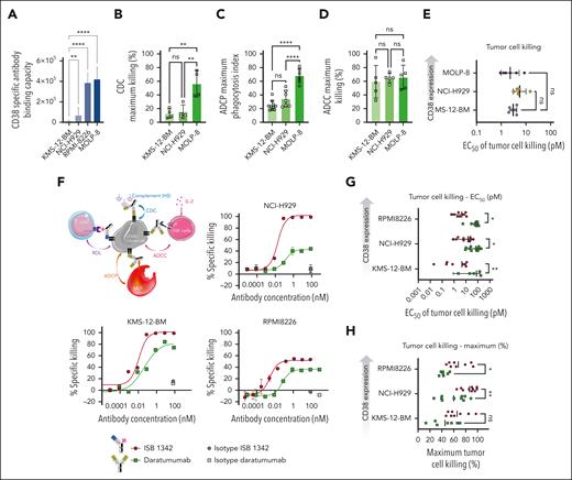 ISB 1342 induces potent killing of cell lines showing reduced sensitivity to daratumumab. (A) Absolute number of specific antibody bound per cell (sABC) indicating the relative CD38 density on MM cell lines. Data represent mean ± SD and were compared using a 1-way ANOVA followed by a Kruskall-Wallis post hoc comparison using KMS-12-BM as a reference. (B-D) Cytotoxicity of MM cell lines in the presence of daratumumab in CDC (B), ADCP (C), and ADCC (D) assays. Data represent mean ± SD of the maximum response from 4 donors in 2 independent experiments (B), from up to 10 donors in 3 independent experiments (C), and from 5 donors in 3 independent experiments (D), which were compared using a 1-way ANOVA followed by a Tukey post hoc comparison. (E) Cytotoxicity of MM cell lines in the presence of ISB 1342 and healthy PBMCs (E:T, 5:1) for 72 hours in a RDL assay. Data represent mean ± SD of EC50 from 6 PBMC donors, compared using a 1-way ANOVA followed by Dunnett post hoc comparison to KMS-12-BM. (F-H) Schematic representation depicting the MMoAK assay, including 4 MoA: T-cell RDL, ADCC, ADCP, and CDC (F). Cytotoxicity of various MM cell lines in the presence of ISB 1342 or daratumumab, healthy PBMC (E:T, 5:1), normal human serum, and rhIL-2 for 48 hours in a MMoAK assay. Data represent mean ± SD of duplicates from 1 representative donor using nonlinear regression analysis (F), the mean ± SD of EC50 from up to 10 PBMC donors per treatment, and the cell line from 6 independent experiments that were compared using a two-way ANOVA and Sidak post hoc test (G-H). ∗P < .05, ∗∗P < .01, ∗∗∗P < .0001, ∗∗∗∗P < .00001.