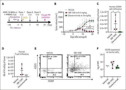 ISB 1342 controlled tumor growth in vivo in the KMS-12-BM xenograft hPBMC-transferred NSG mouse model. (A-B) Experimental design (A) and measurement of tumor growth (B) in the KMS-12-BM subcutaneously xenograft hPBMC-transferred NSG mouse model. In vivo activity was followed for ISB 1342 at 0.5 mg/kg injected IV once per week and daratumumab at 16 mg/kg injected IV twice per week, both for 3 weeks with 8 mice per group. Data are mean (mm3) ± SD determined by caliper measurements. Data were compared for both models using 2-way ANOVA followed by Tukey post hoc comparison. ∗Significant differences between ISB 1342 and vehicle control; # shows differences between daratumumab and ISB 1342. (C-D) Infiltration of hCD45+ cells (defined as live hCD45+mCD45–) (C) and T cells (hTCRαβ+CD14–CD19–CD56–CD45+) (D) in tumors of KMS-12-BM xenografted mice after vehicle, ISB1342 or daratumumab treatments. Data are mean ± SD for 5 mice compared using 1-way ANOVA followed by Dunnett post hoc test to ISB 1342. (E) Representative dot plots showing activation profile (CD25 and CD69 expression) on tumor-infiltrating T-cell activation in vehicle, daratumumab, and ISB 1342-treated mice. (F) CD38 expression on MM cells in tumors (KMS-12-BM model). Data are mean ± SD compared using 1-way ANOVA followed by Tukey post hoc test; ∗P ≤ .05.