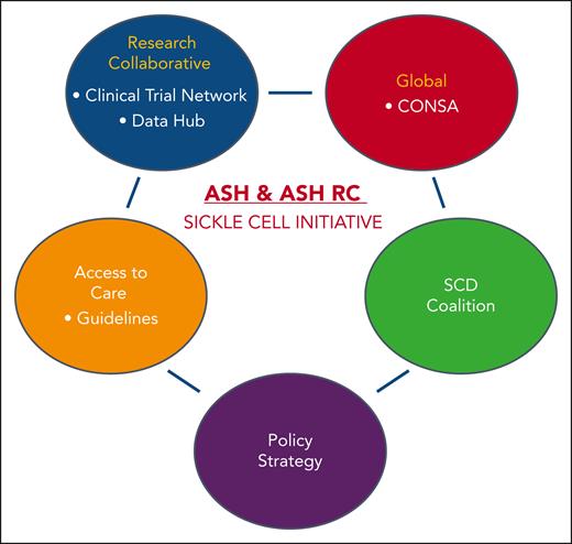 ASH and the ASH Sickle Cell Initiative. Shown is the multipronged initiative to improve the lives of people living with sickle cell anemia. ASH established its Research Collaborative, which developed the SCD Clinical Trials Network and Data Hub. ASH has also created CONSA as part of its global initiative. CONSA is a consortium of African hematologists who are working to demonstrate the effectiveness of newborn screening and early intervention for infants with SCD. ASH founded the SCD Coalition, composed of more than 100 organizations that amplify the voice of the community with SCD. In addition, ASH has developed educational material on SCD to enhance access to high-quality care and worked with the US government to boost SCD research, training, and services as well as to improve the reimbursement for SCD care.