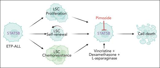 Activation of STAT5B confers proliferation, self-renewal, and chemoresistance of LSCs in early T-cell precursor acute lymphoblastic leukemia. Pimozide is a STAT5 inhibitor that sensitizes the LSCs to chemotherapy.