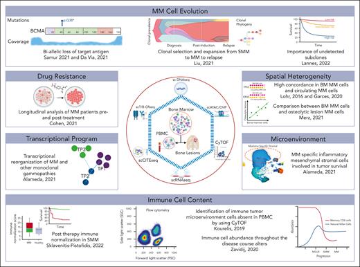 Overall summary of research concepts using cells from the BM, blood circulation, or lesions outside the BM, and single-cell platforms to address various hypotheses.
