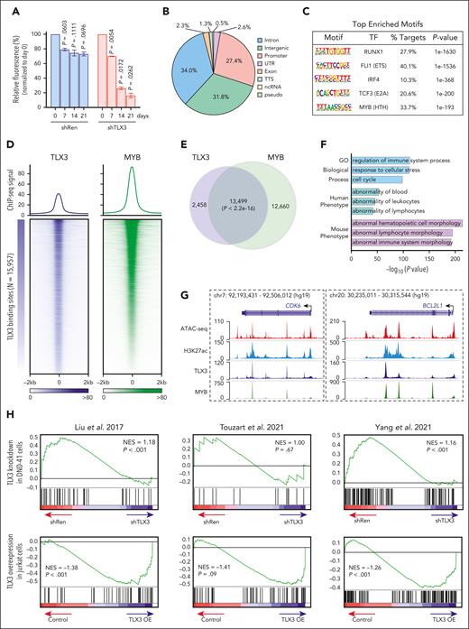 Analysis of TLX3-dependent transcriptional programs. (A) Bar plot representation of BFP+ cells relative to starting cell culture (day 0) in DND-41 cells expressing shRNA against TLX3 (shTLX3) or Renilla luciferase (shRen). Results are mean ± SD and were analyzed by two-way analysis of variance (ANOVA). (B) Genome-wide distribution of TLX3 ChIP-seq peaks in DND-41 cells. (C) Top enriched motifs in TLX3 ChIP-seq binding sites by HOMER. (D) Heatmaps of TLX3 (blue) and MYB (green) ChIP-seq signals centered on TLX3-binding sites in DND-41 cells. Each row represents a single TLX3-binding region. (E) Venn diagram of the overlap between TLX3- and MYB-binding sites in DND-41 cells. P value was calculated by the Fisher exact test. (F) Top enriched gene ontology (GO) biological process, human phenotype, and mouse phenotype terms associated with the nearest-neighbor genes within 100 kb of TLX3 and MYB co-occupied genomic regions. The –log10(P value) was calculated using binomial test with the GREAT software. (G) Genome browser tracks for ATAC-seq and H3K27ac, TLX3, and MYB ChIP-seq in DND-41 cells for CDK6 and BCL2L1. (H) Gene set enrichment analysis of gene sets enriched in TLX3+ leukemia samples from 3 independent studies17,43,44 comparing differentially expressed genes upon TLX3-depletion in DND-41 cells (N = 2 replicate RNA-seq) or TLX3 overexpression (TLX3-OE) in Jurkat cells (N = 3 replicate RNA-seq).