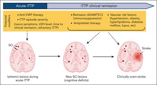 Proposed model of progressive cerebrovascular disease in iTTP and opportunities for intervention. Ischemia occurs during acute iTTP, but additional lesions (in the same or other sites) may occur during remission and contribute to cognitive deficits. Based on shared pathophysiology, SCI is a likely precursor lesions for stroke. Potential factors contributing to ischemic injury are highlighted in yellow. Targeting microvascular thrombi in acute iTTP could reduce SCI from the acute event and targeting remission ADAMTS13 and other cardiovascular risk factors could mitigate ongoing injury during remission.