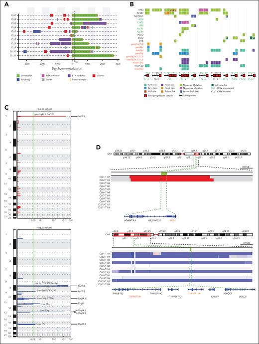 Genetic profile of patients on venetoclax therapy. (A) Swimmer plot for 11 evaluated patients with CLL who received venetoclax, showing treatment received before and after initiation of venetoclax. Venetoclax treatment shown in green for CLL6 at 36 days is not scaled. For all other patients, days from venetoclax is per scale as defined on the x-axis. (B) Co-Mut plot representation of individual mutations and copy number aberrations present in 11 patients with CLL as derived from WES data. Half-filled squares in different colors represent distinct mutations. Mutations written in black are recurrent nonsynonymous mutations, whereas those in green are nonsynonymous mutations acquired in a single patient. (C) GISTIC plot of genomic regions with CN gain (red) or loss (blue) for 22 autosomes (y-axis) with −log(q-values) on the x-axis. (D) Visual validation of chromosomal segment loss and gains in integrative genomic viewer at the progression time point on venetoclax for all 11 patients. Blue indicates segment loss and red indicates segment gain.