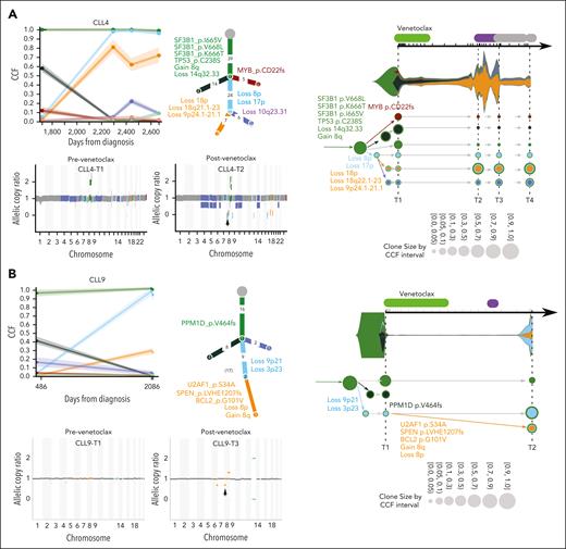 Clonal evolution of somatic mutations in CLL patients with loss(8p). Subclonal structure and clonal evolution of somatic mutations derived using PhylogicNDT (left, middle) and Concerti (right) with copy number data derived from ABSOLUTE (below PhylogicNDT plots) for CLL4 (A) and CLL9 (B). For additional details, see Figure 2.