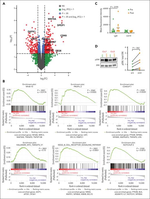 Patients with disease progression on venetoclax show elevated ERK1/2 signaling. (A) Volcano plot showing differentially expressed genes between pre and postvenetoclax progression time points from RNA-seq data with adjusted P value < .05 and |log2(FC)| > 1.0. (B) Enrichment plots obtained from gene set enrichment analysis, which was performed on a list of all genes from DEG analysis and ranked based on t statistics. (C) sIgM and CD19 staining was performed on PBMCs collected from patients (n = 5) at pre- and postprogression on venetoclax time points. Mean fluorescent intensity was measured on gated CD19+ cells. (D) Representative western blot image showing pERK and ERK for PBMC lysates from pre- and postvenetoclax progression time points for 2 patients, together with quantification of pERK:ERK ratio (n = 5).