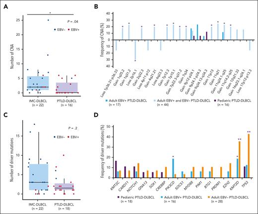 CN and mutational landscape of pediatric PTLD-DLBCL and comparison with previously published series. Comparison between pediatric PTLD-DLBCL, pediatric and young adult IMC-DLBCL,9 and adult PTLD-DLBCL17,18,21,34 in terms of (A-B) CNA and (C-D) mutational frequencies. The vertical axis of panels A and C represents the number of alterations and the 2 groups are separated in the x-axis (PTLD-DLBCL represented in purple and IMC-DLBCL represented in blue). The asterisk in panel A marks significant differences between both groups according to Wilcoxon rank-sum test P < .05. The vertical axis of panels B,D represents the frequency of alteration (%), with the different CNAs in panel B and genes in panel D represented in the horizontal axis. Asterisks in panel B mark significant differences between adult and pediatric PTLD-DLBCL, according to Fisher exact test P < .1 and in panel D indicate significant differences between adult, either EBV+ or negative, and pediatric PTLD-DLBCL, according to Fisher exact test ∗P < .1 and ∗∗P < .05.