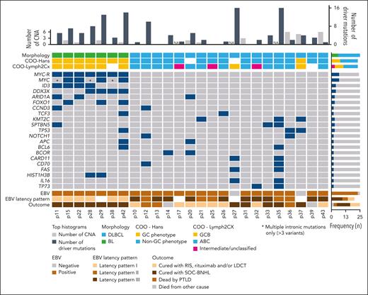 Molecular CN and mutational information on 25 B-cell post-SOT mPTLD cases. Each column corresponds to a case, the gray bars in the top histogram depicts the number of CNAs while steel blue bars represent the number of driver mutations. Each row of the bottom plot represents a gene, where the dark blue color marks driver mutations. Only genes with driver mutations in more than 2 cases are represented. Blue in the MYC-R row indicates MYC rearrangement was detected using FISH using MYC BAP and in cases p11, p15, p22, p29, p38, and p42, also using IGH::MYC DF probe, whereas in the case of p28, IGK::MYC DF probe was used. ABC, activated B cell; NA, not available.