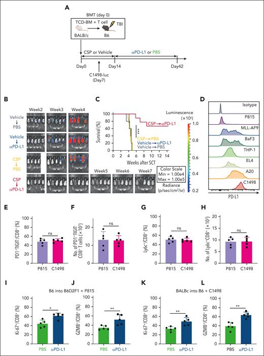 Transitory-Tex-CNI contributed to GVL effects after PD-1 blockade. (A-C, E-H, K-L) Lethally irradiated B6 mice received transplantation with TCD-BM combined with purified T cells from BALB/c donors and administered with CSP or vehicle from days 0 to 14 after allo-HCT. Recipient mice were IV injected with 5 × 104 (CSP-treated recipients) or 1 × 106 (vehicle-treated recipients) C1498-luc cells on day 7 after allo-HCT. (A-C) Recipients were intraperitoneally injected with αPD-L1 twice a week from days 14 to 42 after allo-HCT. (A) A schematic overview of the experiments. (B) Leukemia growth was evaluated using bioluminescence imaging weekly after leukemia injection. (C) Survival curves of recipients (n = 9 per group). (D) Histograms show PD-L1 expression on various mouse leukemia cells. (E-J) In P815 group, lethally irradiated B6D2F1 mice received transplantation with TCD-BM combined with purified T cells from B6 donors and administered with CSP from days 0 to 14 after allo-HCT. Recipient mice were IV injected with 5 × 104 P815 cells on day 7 after allo-HCT. Proportions (E) and absolute numbers (F) of PD-1+TIGIT– cells, and proportions (G) and absolute numbers (H) of Ly6C+ cells in CD8+ donor T cells on day 16 after allo-HCT (n = 5 per group). P815-innoculated (I-J) and C1498-innoculated (K-L) recipients were intraperitoneally injected with αPD-L1 or PBS on day 14 after allo-HCT. Proportions of Ki-67 (I,K) and GZMB (J,L) expression in CD8+ donor T cells on day 16 after allo-HCT (n = 5 per group). (C) Data from 2 independent experiments were combined and shown as means ± SEM. (E-L) Data from one of 2 similar experiments were shown as means ± SEM. ∗P < .05; ∗∗P < .01; ∗∗∗P < .005. ns, not significant.