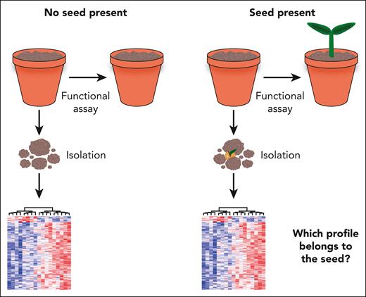The fundamental challenge of retrospective assays. The vast majority of HSC assays require destruction of the initial cell state to perform either a functional or a molecular assay. Establishing that a cell population, being the “soil,” contains an HSC, the “seed,” necessitates lengthy functional assays but also destroys the seed in the process. Once the presence of an HSC has been established, the cell is no longer present, and the molecular program of similar cells isolated at the same time cannot easily be distinguished from other non-HSCs profiled at the same time.