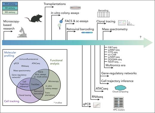 A broad timeline of single-cell functional, molecular, and computational techniques. Although clonal functional assays have developed slowly over many decades, global single-cell molecular profiling (and its associated analytical tools) have been largely developed in the last 10 years. The pace of these developments and the breadth of competing/complementary tools makes it more challenging to navigate. The Venn diagram (bottom-left) depicts each tool and identifies the aspects of HSC biology that can be assessed via each technique (cellular function, molecular profile, or clonal tracking). In addition to these individual limitations, it is important to note that most multiomic techniques are not as robust as singleomic techniques optimized to capture 1 molecular aspect, and these combinatorial technologies should be used with great caution. ATAC-seq, assay for transposase-accessible chromatin sequencing; G&T-seq, genome and transcriptome sequencing; NEAT-seq, sequencing of nuclear protein epitope abundance, chromatin accessibility and the transcriptome in single cells; qPCR, quantitative polymerase chain reaction; sc-assays, single-cell assays; sci-CAR, single-cell combinatorial indexing-based coassay that jointly profiles chromatin accessibility and mRNA; scM&T-seq, single-cell methylome and transcriptome sequencing; scNMT-seq, single-cell nucleosome, methylation and transcription sequencing.