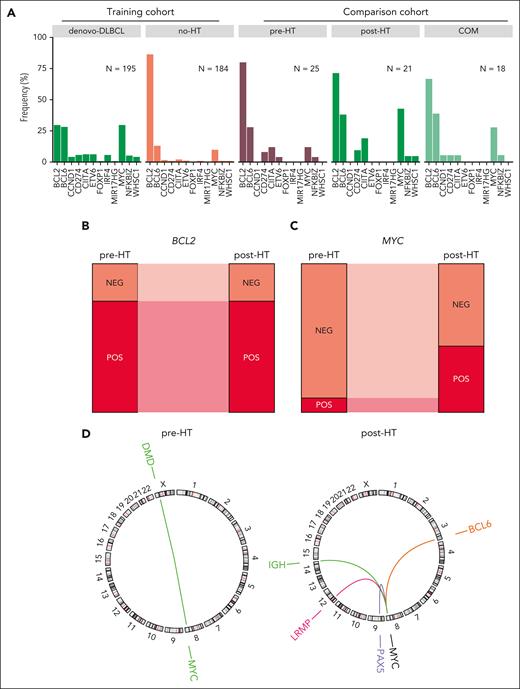 Oncogene translocations in FL. (A) Translocations involving oncogenes in FL and DLBCL genomes. The frequency is shown relative to the total number of tumors within each group. (B-C) Proportion of tumors with BCL2 (B) and MYC (C) translocations in the paired pre- and post-HT genomes. (D) Circos plots showing the MYC translocation partners in the paired pre- and post-HT genomes. The color of the breakpoint represents an individual patient.