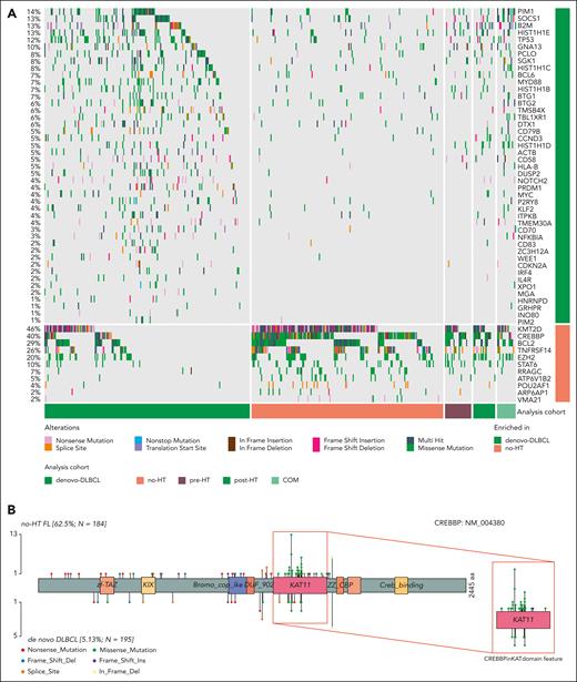 Coding mutations across FL and DLBCL. (A) Oncoplot depicting coding mutations at the SMGs in FL. (B) Mutation diagrams showing genetic variations of CREBBP in FL and DLBCL tumors. Mutations are colored based on their type. Each mutation is annotated with amino acid substitution. Patients with FL are shown as the top track of variants for each gene, and patients with DLBCL are shown below.