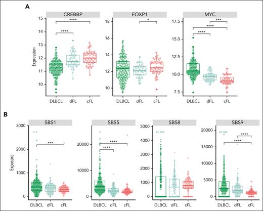 Novel genetic subgroups of FL are characterized by distinct biological features. (A) Expression of CREBBP, FOXP1, and MYC across tumors in de novo DLBCL and within FL cases in each subgroup. (B) Mutational signatures SBS1, SBS5, and SBS9, but not SBS8, are differentially enriched between cFL and dFL tumors.