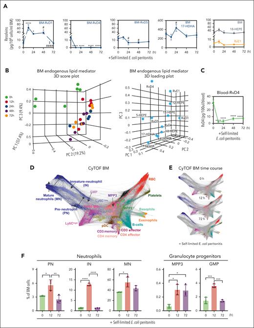 Time-dependent changes in BM Rvs. (A) Time course of D-series Rvs and proresolving mediators in the BM from targeted LC-MS/MS. (B) Principal component analysis of time course of BM Rvs and proresolving mediators; (left) 3D scoring plot, and (right) 3D loading plot. Results are expressed as mean ± standard error of the mean (SEM); n = 4 or 6 mice per time point, panels A-B. Panel A: time 0 vs 12, 24, 48, and 72 hours, respectively; ∗P < .05, ∗∗P < .01, ∗∗∗P < .001, ∗∗∗∗P < .0001. Panel A: time 0 vs 12, 24, 48, and 72 hours, respectively, ∗P < .05, ∗∗∗∗P < .0001; 12 hours vs 48 and 72 hours, respectively, #P < .05, ####P < .0001; 48 vs 72 hours, ‡P < .05. (C) Time course of RvD4 in whole blood as determined with targeted LC-MS/MS. RvD4 blood pooled from 3 mice for each time point. Time 0 vs 12, 24, 48, and 72 hours, respectively; ∗∗∗∗P < .0001. Statistical analysis was carried out using 1-way ANOVA with Bonferroni multiple comparison test. (D-F) CyTOF: BM (CD45+CD41−) isolated from mice with peritonitis at 0, 12, and 72 hours. (D) Composite BM map: force-directed layout (Vortex) showing (94 500 total single cells) clustered by X-shift (n = 3 mice per time point: 0, 12, and 72 hours; ∼10 500 cells per mouse). (E) BM time-course maps: force direct layout. (F) Number of BM neutrophil lineage (PN, preneutrophil; IN, immature neutrophil; and MN, mature neutrophils) and granulocyte stem and progenitor cells (MPP3 and GMPs). Results are mean ± SEM, n = 3 mice per time point. ∗P < .05, ∗∗P < .01, ∗∗∗P < .001, ∗∗∗∗P < 0. 0001. Statistical analysis was performed using 1-way ANOVA with Tukey multiple comparison test.