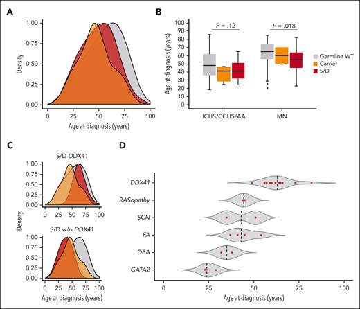 Age distribution at the time of standard hematologic diagnosis in patients with or without germ line mutation. (A) Density curves representing the age distribution at the time of standard diagnosis in patients who are germ line WT in the analyzed genes (gray), patients harboring P/LP mutations identified as causative of a congenital syndrome or disorder (S/D) (red), or carriers of a unique heterozygous mutation in genes associated with autosomal recessive disorders (orange). (B) Box plots showing the median age (horizontal line) and age distribution at the time of diagnosis of MN or nonneoplastic conditions (ICUS/CCUS/AA), in patients who are germ line WT (gray), S/D (red), and carriers (orange). Patients who are germ line mutated were significantly younger at the time of diagnosis of MN than those who are germ line WT (P = .018). (C) Age distribution at the time of diagnosis in patients who are germ line WT (gray), carriers of a unique heterozygous mutation in genes associated with autosomal recessive disorders (orange), and patients with DDX41-associated predisposition (red) (top), or with S/D other than DDX41-associated predisposition (red) (bottom). (D) Age distribution based on the germ line S/D (red dots); median age is indicated with a dashed line.