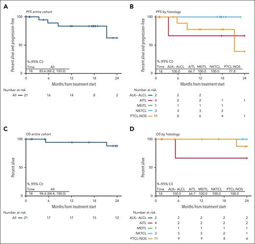 Survival curves. Kaplan-Meier curves of (A) PFS for the entire cohort; (B) PFS based on the histology; (C) OS for the entire cohort; and (D) OS based on the histology. CI, confidence interval.