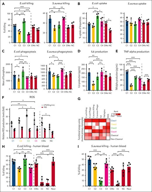 Each monocytic class exhibits distinct phenotypes upon bacterial infection. (A-F) Bar graphs showing each class of primary murine monocytes have varying capacities to perform monocytic functions (n = 4 independent experiments, in triplicate technical replicates). Killing assays, cytokine production enzyme-linked immunosorbent assay, and ROS assays were performed in vitro. Bacterial uptake refers to cells taking up dead bacteria, whereas phagocytosis is the ingestion of heat-killed bacteria. Bacterial uptake and phagocytosis were performed in vivo. (G) Heatmap summarizing in vitro and in vivo functional assays of primary murine monocytes. (H-I) Bar graphs showing each class of human peripheral blood monocytes (using gating strategy of class monocytes in Figure 4I. Classical monocytes: CD235–, LIN–, CD45+, CD11B+, HLA-DR+, CD15–, CD14+, and CD16–. Intermediate monocytes: CD235–, LIN–, CD45+, CD11B+, HLA-DR+, CD15–, CD14+, and CD16+. Nonclassical monocytes: CD235–, LIN–, CD45+, CD11B+, HLA-DR+, CD15–, CD14–, and CD16+. Neutrophils: CD235–, LIN–, CD45+, CD11B+, HLA-DR+, and CD15+) have varying capacities to phagocytose in vitro (n = 2 independent experiments, using 2-3 donors each experiment in duplicate technical replicates). A mixed model analysis of variance was used for the statistical test. ∗P < .05; ∗∗P < .01; ∗∗∗P < .005. Statistical tests were performed within classes 1 to 4 monocytes or controls.