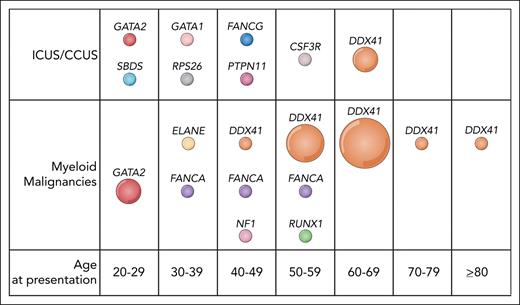 Correlation of age of disease presentation with affected gene. Molteni et al describe deleterious germ line variants causing cytopenias and hypocellular bone marrows that vary across the age spectrum, with alleles in GATA2 and Fanconi anemia genes common in younger individuals and DDX41 in older individuals. Genes in which these alleles were identified are plotted as a function of age of presentation (on the x-axis) vs the diagnosis of the individual (top, ICUS/CCUS; bottom, myeloid malignancies; on the y-axis). Professional illustration by Somersault18:24.