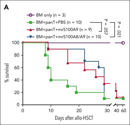 Recombinant S100A9 proteins or upregulation of S100A9 by treatment of anti-IFNGRα antibodies reduce GVHD by altering donor cell trafficking. (A) Survival rate of mice treated with recombinant murine S100A9 with or without S100A8 proteins (1 μg/injection starting on day 0, 5 times per week for 2 weeks), after allo-HSCT.